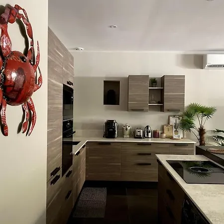 «la Calade » Les Glycines Appartement Collioure